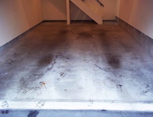 Before & After Installation Floor Coating